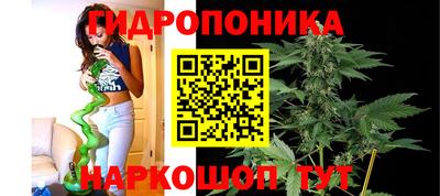 mix Новокубанск